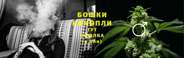 jwh Новозыбков