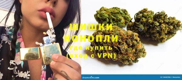 ГАЛЛЮЦИНОГЕННЫЕ ГРИБЫ Валдай