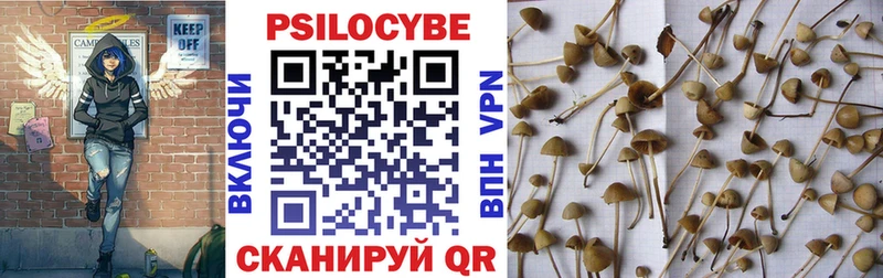 Псилоцибиновые грибы Psilocybe  Лениногорск 