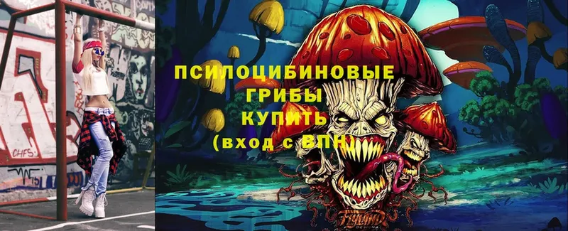 Псилоцибиновые грибы Psilocybine cubensis  Лениногорск 