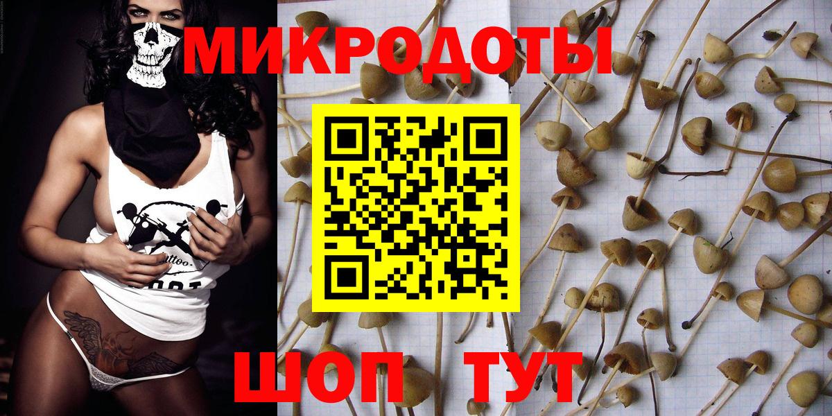 Лениногорск  Галлюциногенные грибы мухоморы  Вход с VPN 