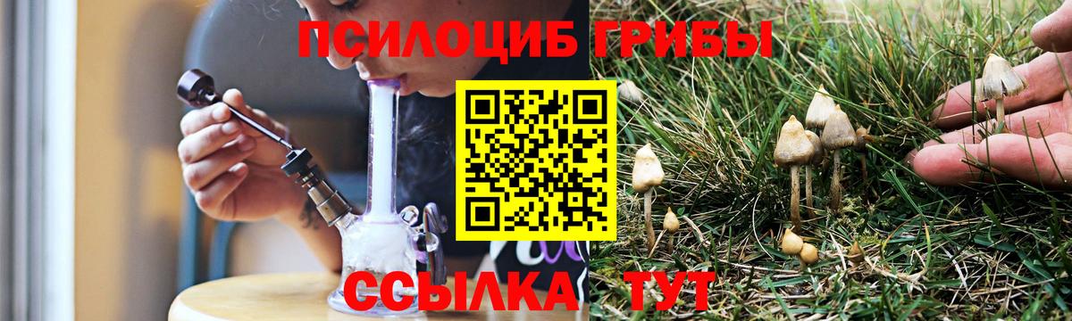 Псилоцибиновые грибы мицелий Лениногорск